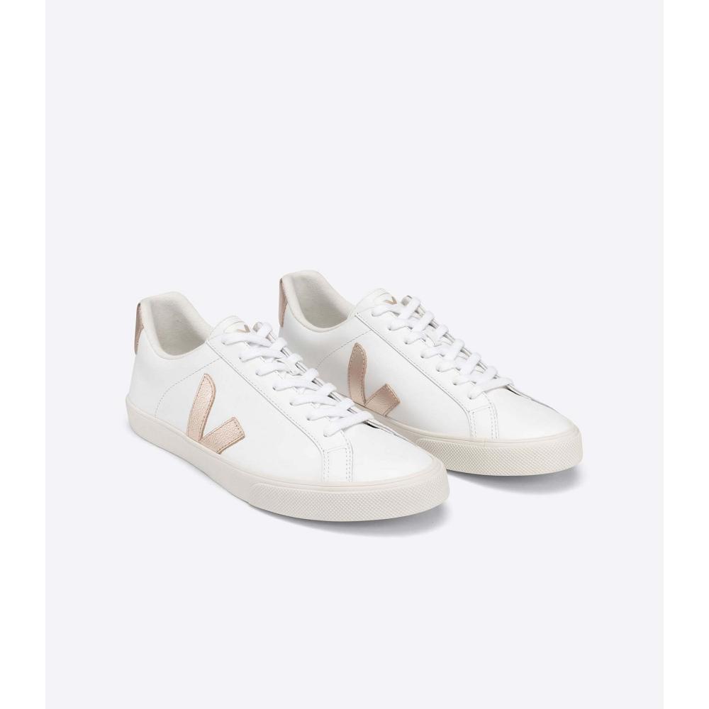 Veja ESPLAR LEATHER Joggesko Dame White/Brown | NO 606TCE